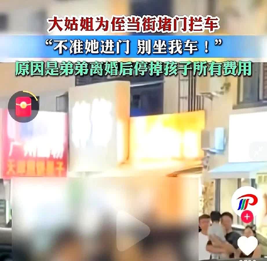这年头三观正的大姑姐太稀有！大姑姐当街堵门拦车，打弟弟，臭骂弟媳，不准弟