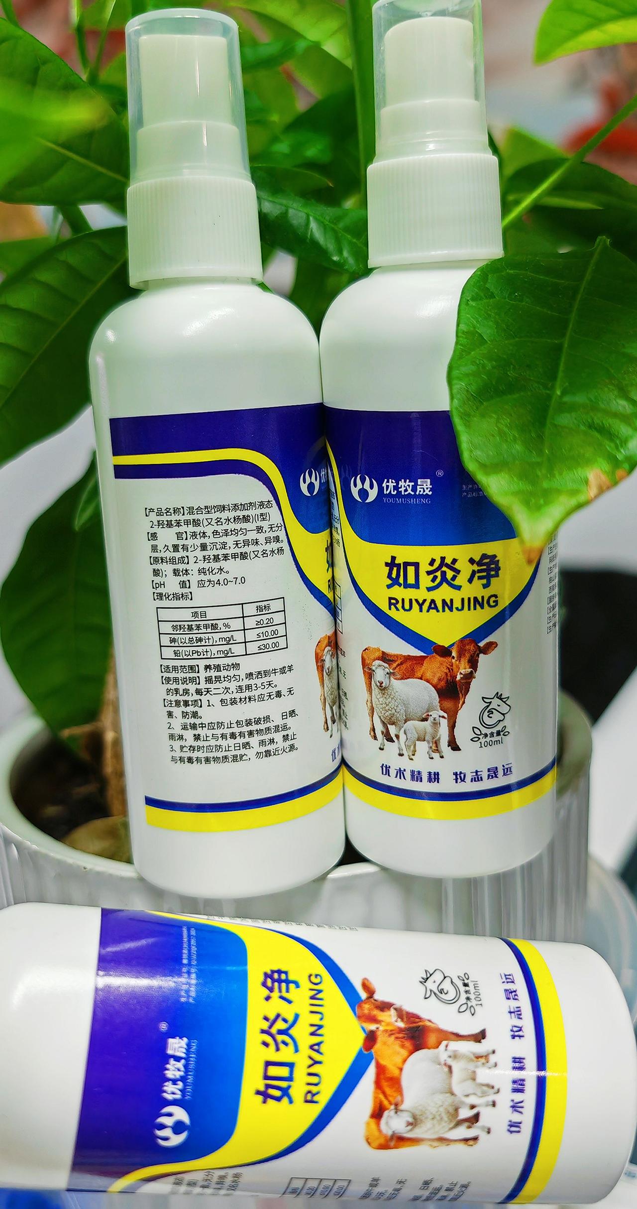 养羊人农村养羊牛羊养殖