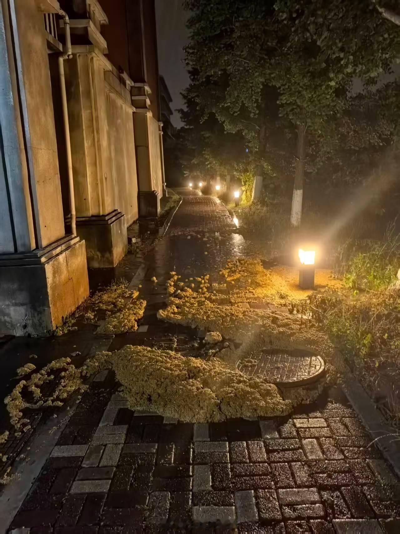 不能只有我一个人看到这张图。