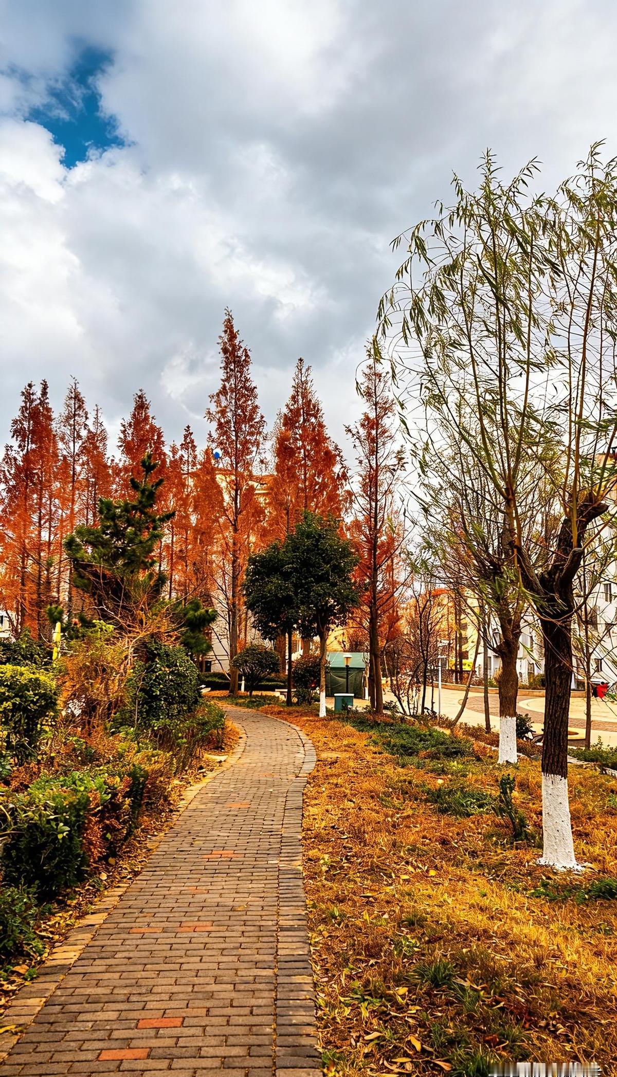 1.8亿人都在熬日子等退休，以为只要拿到退休证人生就开了挂，可扎心的是，72%的