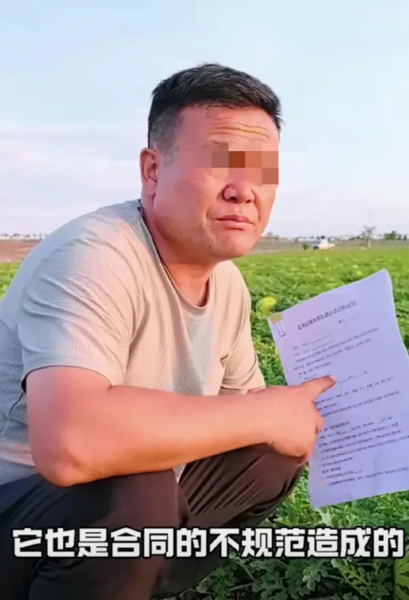 宁夏西瓜，再想让人们爱你不容易。这大热天的，宁夏的西瓜眼瞅着又要熟透上市了。可就