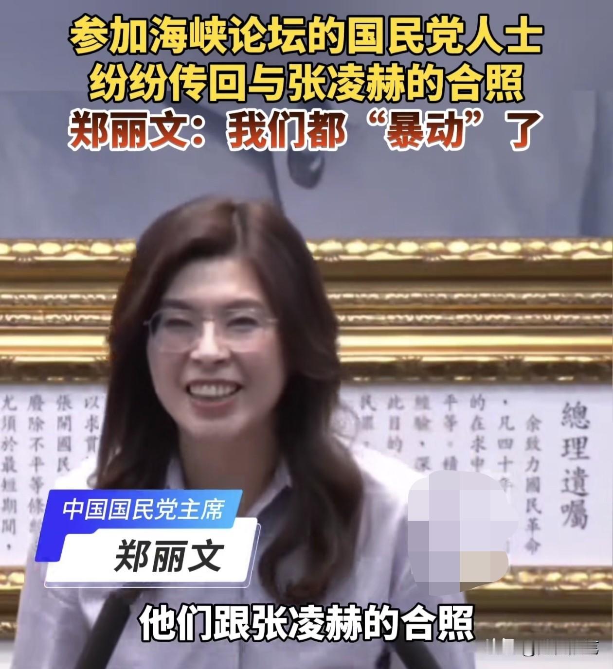 郑丽文性情还是比较率真的，一个国民党主席的身份，而且还是已经五十几岁的人了，但是