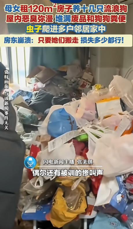 "咋不去祸害自己的呢？"6月上旬有媒体报道，上海有这么一对母女，自己名下是有房