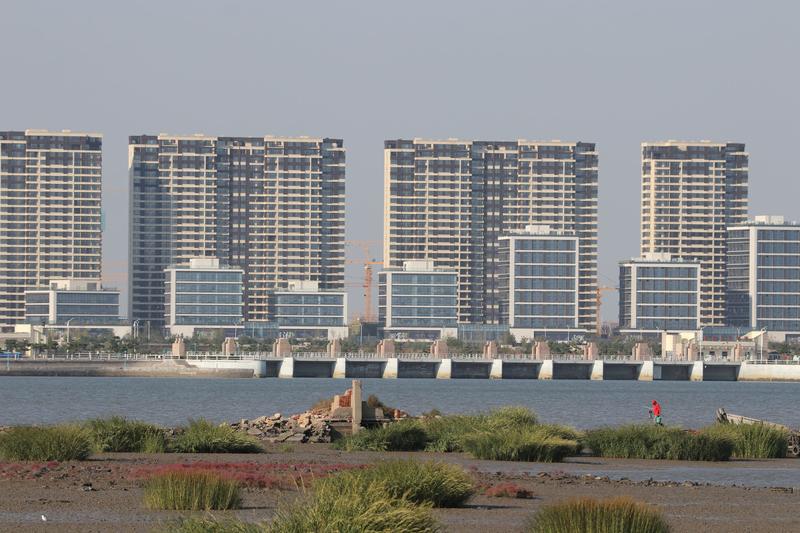 “河南夫妻花8万网购70平海景房，到手却发现‘捡漏’变‘踩坑’！”这出荒诞剧让全