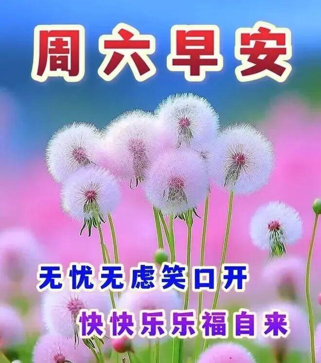 快乐是人生的主旋律，幸福是生活的主题曲，我送你一首幸福快乐歌，愿您生活幸福美满，