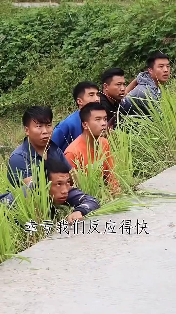 幸亏我们反应得快，女司机。