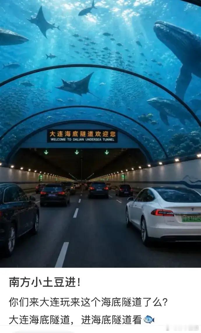 据说很多南方小土豆，都上了大连海底隧道网红照片的当