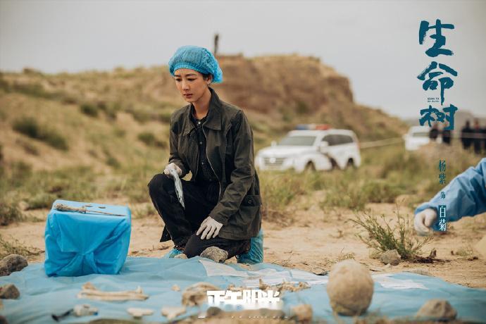 【青海副省长给生命树剧组写了封信】青海副省长点赞生命树近日，电视剧《生命树》（等