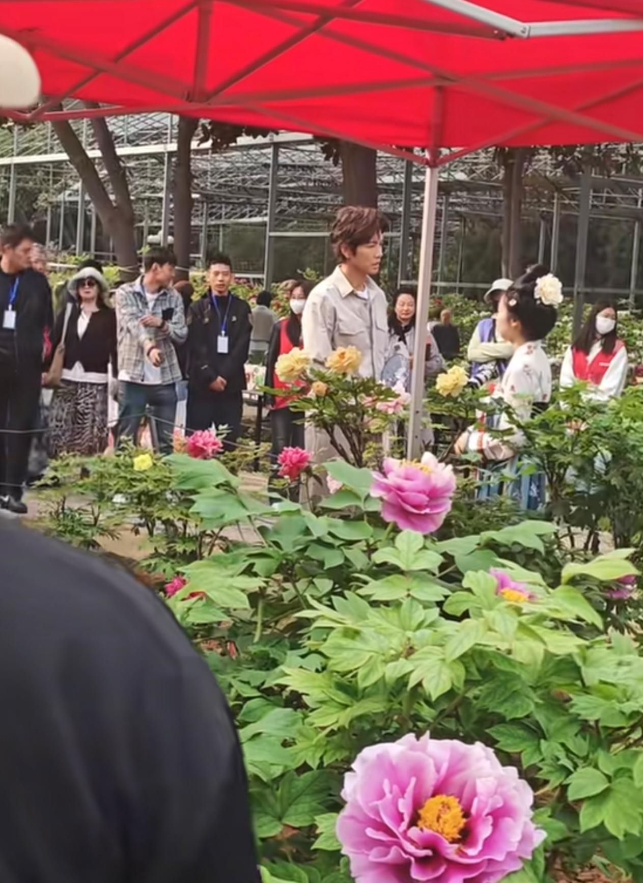 去洛阳看牡丹，居然偶遇了钟汉良本人！真人比电视上帅太多，完全看