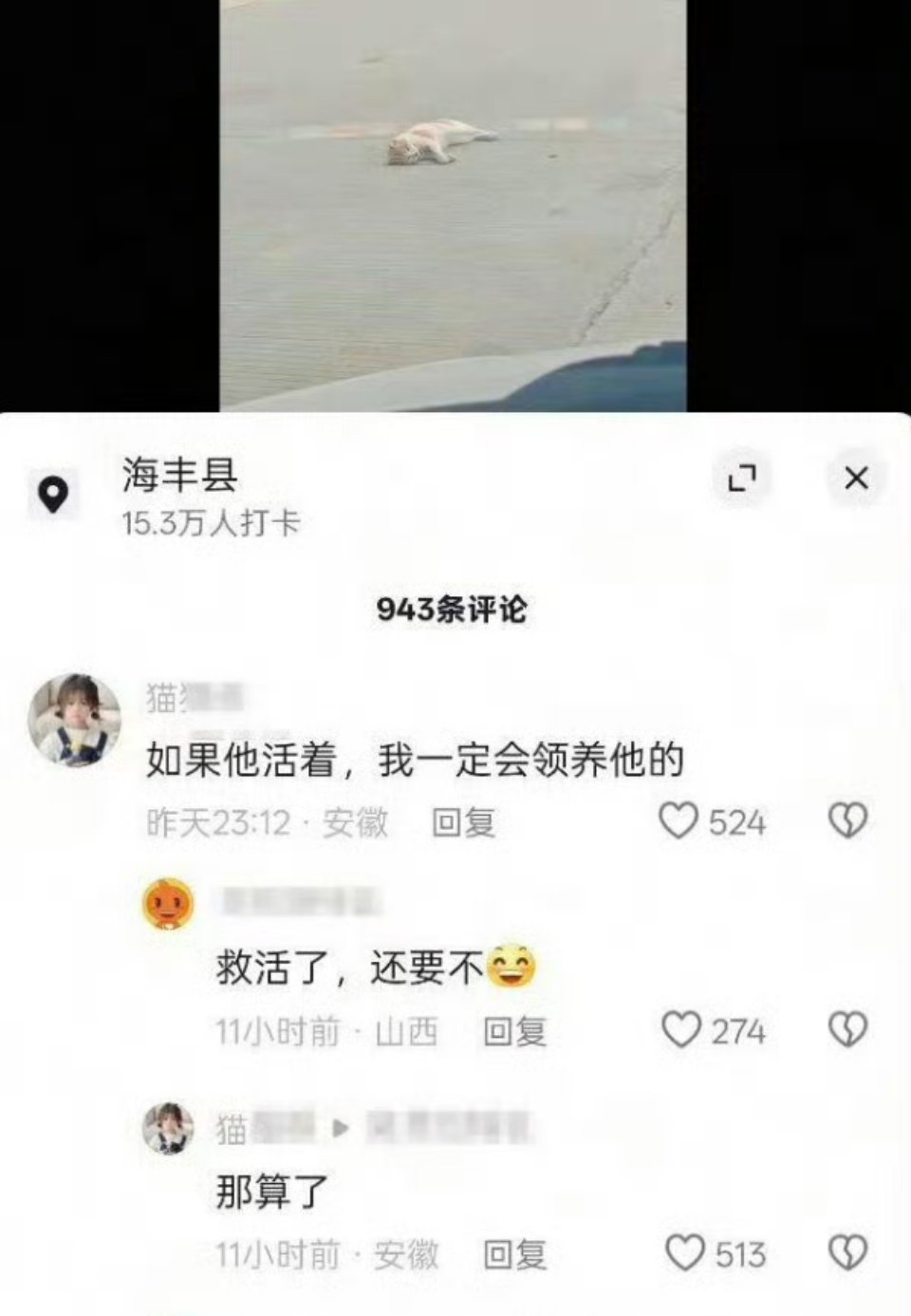 “如果他活着，我一定会养他的！”“救活了，还要不？”“那算了”猫:“我—你—！”