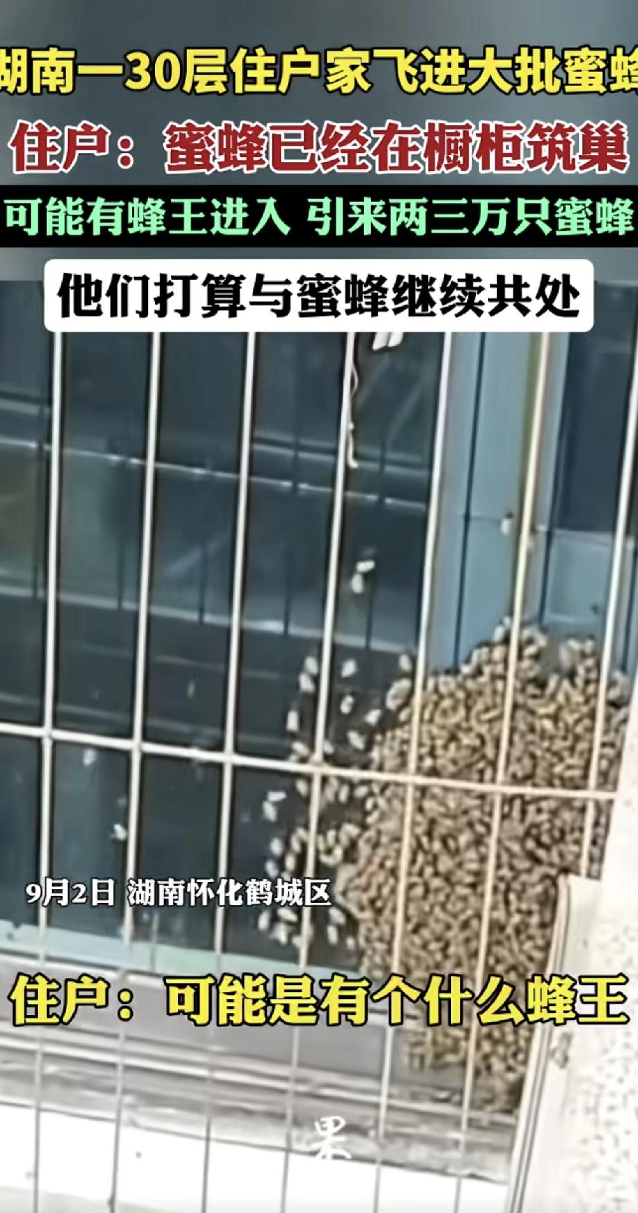 这真是怕你生活太苦，蜜蜂都上门送蜂蜜了！湖南怀化一户30层的人家，前几天家里