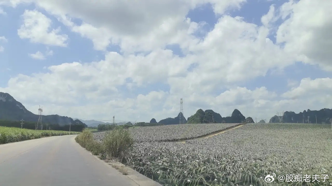 复盘两年前9.24开启的这一轮结构性行情，真正撑得起绝对主线的，还得是CPO和半