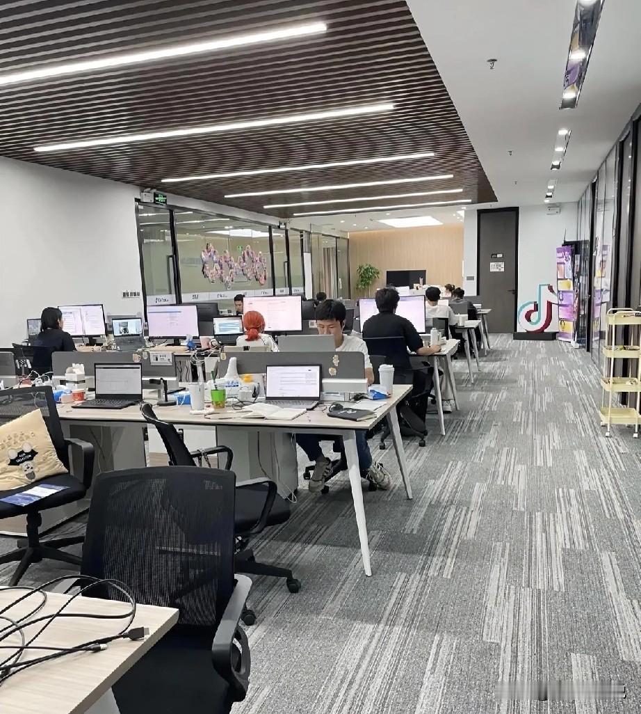 今天和一个曾经在一家中外合资企业做管理的老大哥聊天，他说不是他媚外，外企，中外合