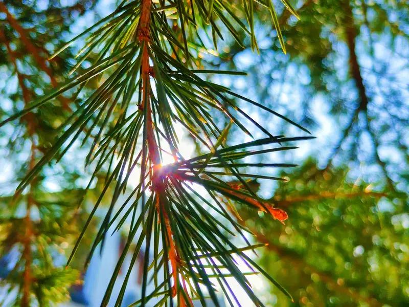 人真正大彻大悟，大多不是顺风顺水时想通的，而是在跌入谷底、众叛亲离、求而不得、痛