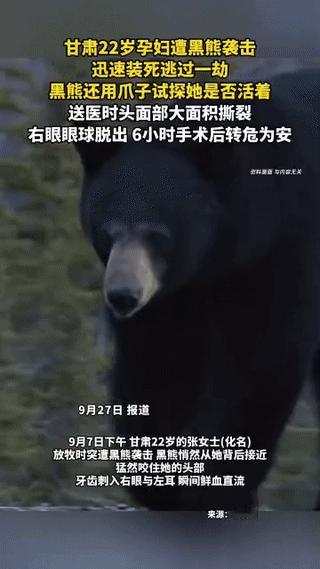 “太惊险了!”9月7日，甘肃一名22岁孕妇在放牧时，一头黑熊悄无声息地绕到她身后