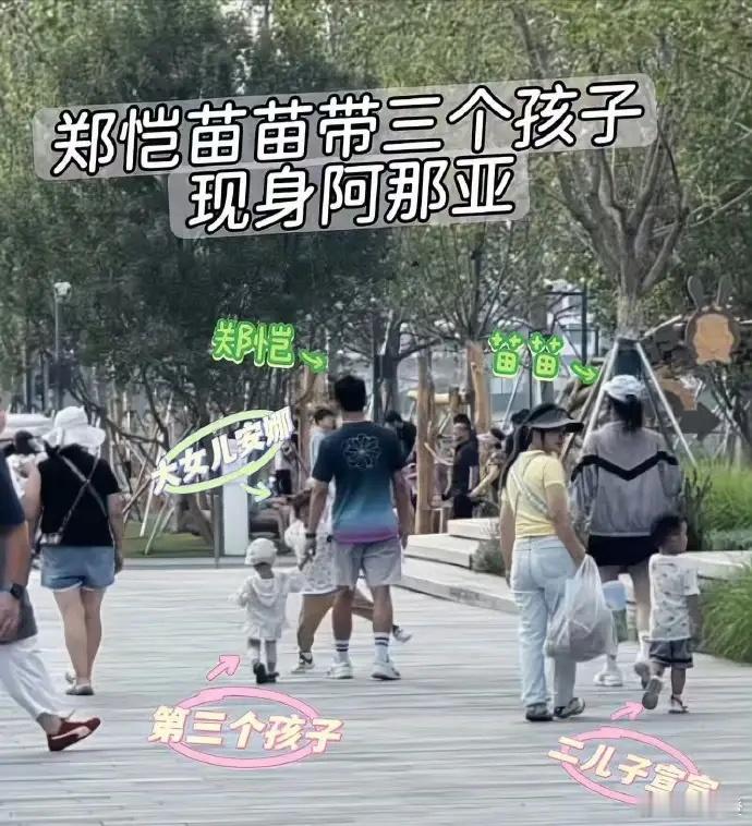 郑恺这一家子，总让人忍不住心生心疼。虽说作为明星，他们经济上毫无压力，生三个可爱