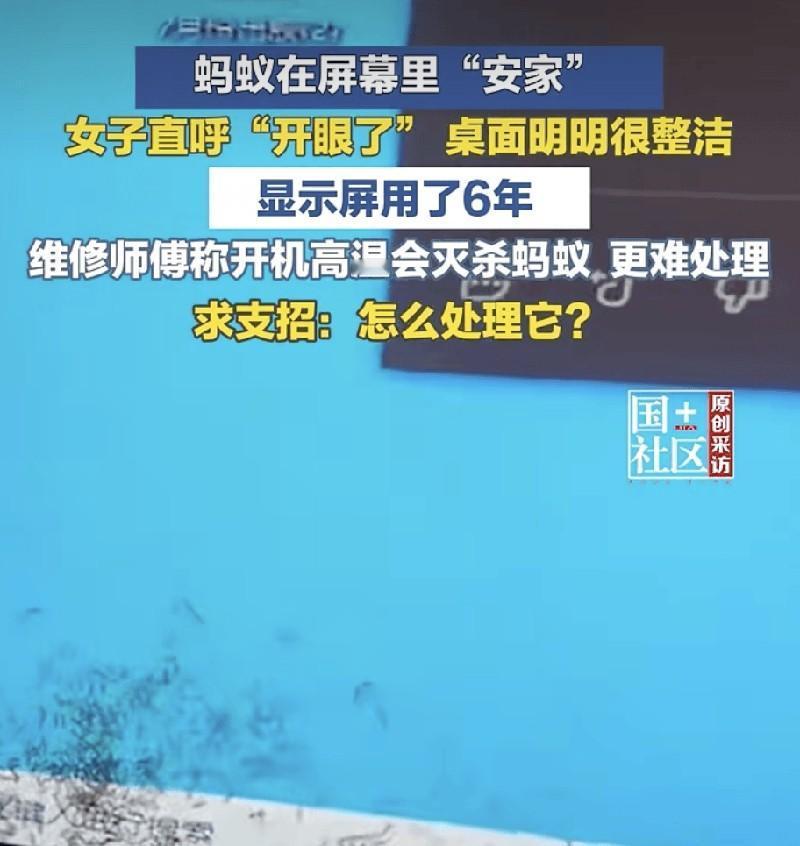 女子发现蚂蚁爬进自己电脑显示屏“筑巢”！当事人：显示屏用6年电脑屏幕里突然出