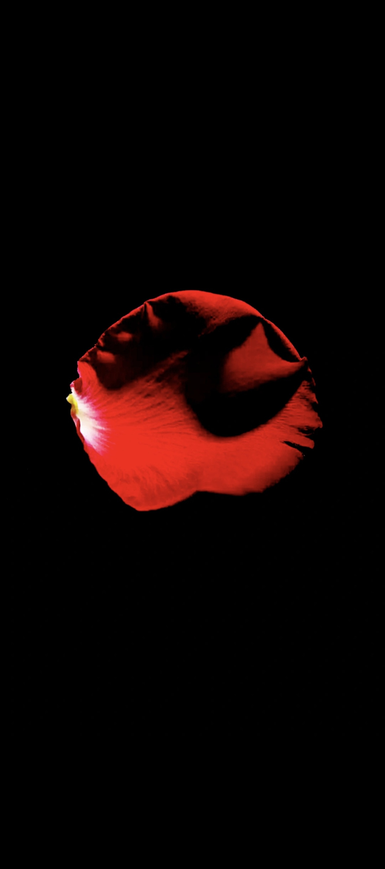 意想不到的中药名1、麻黄叫青龙2、石膏叫白虎3、大枣叫朱雀4、附子叫玄武5、补