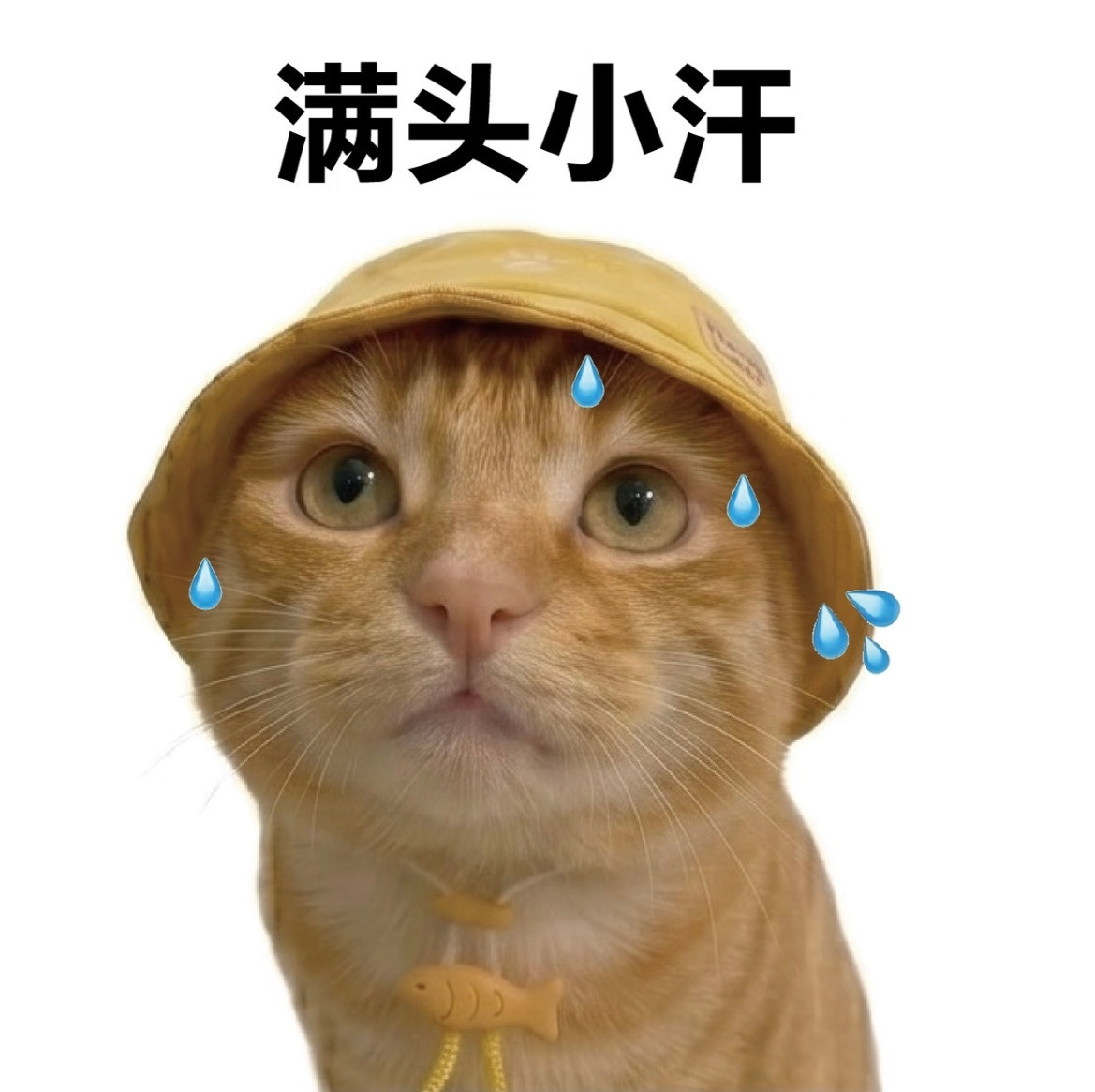 明天升T的话是不是意味着又要多做一个星品了