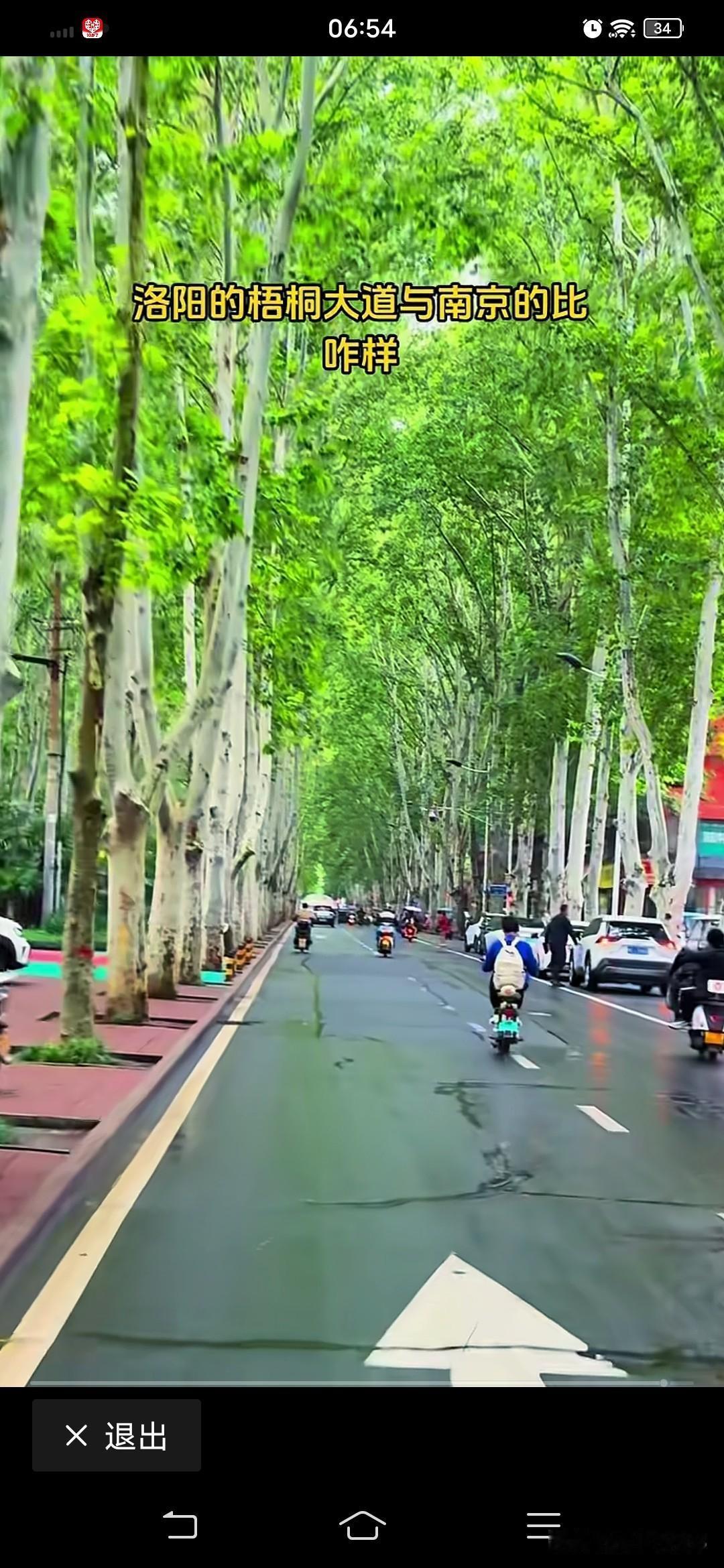洛阳也有梧桐大道？我就住在南京梧桐大道旁边，也拍了很多梧桐大道的视频和图片，