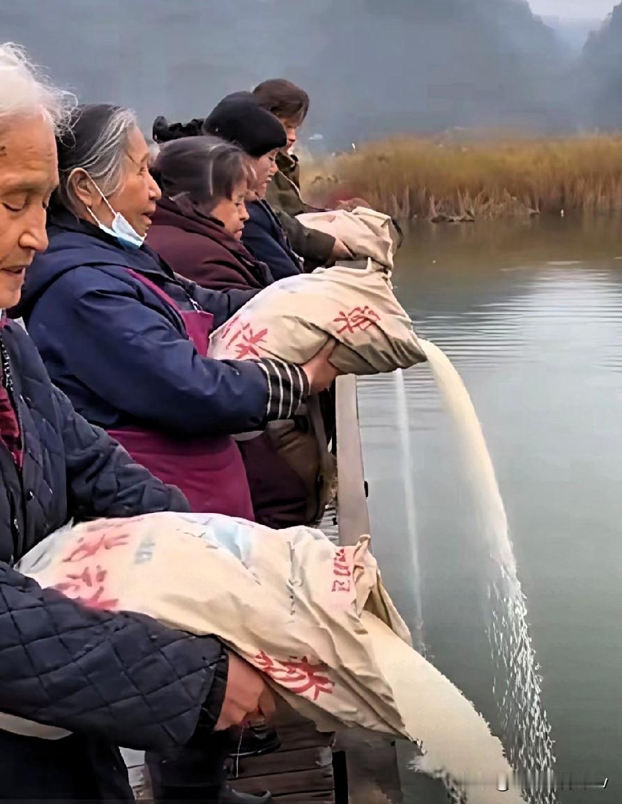 放生本是救生命积功德，辽宁大妈却往海里倒整袋大米还念念有词，这荒诞操作到底是善举