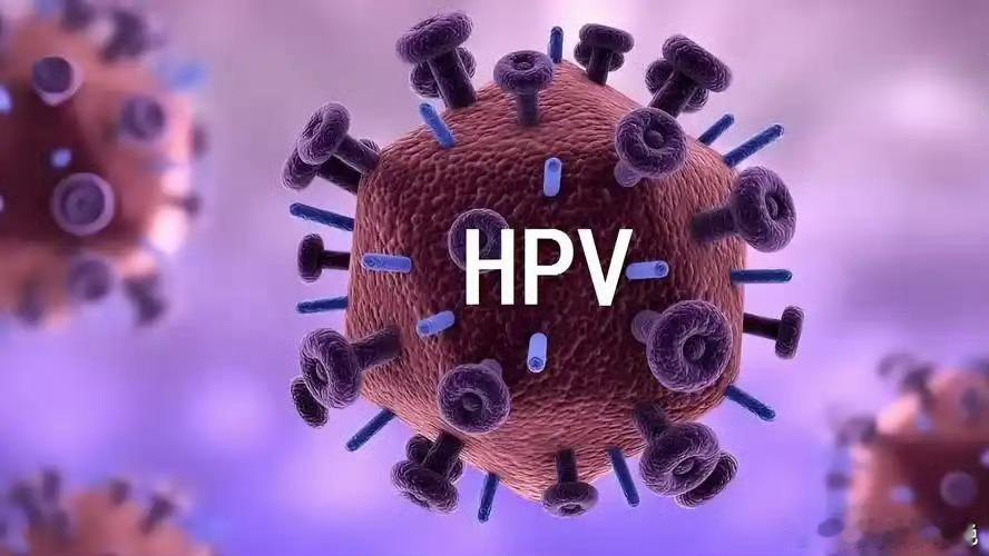 hpv阳性就提示宫颈癌吗让她健康HPV（人乳头瘤病毒）感染的症状因病毒亚型和感