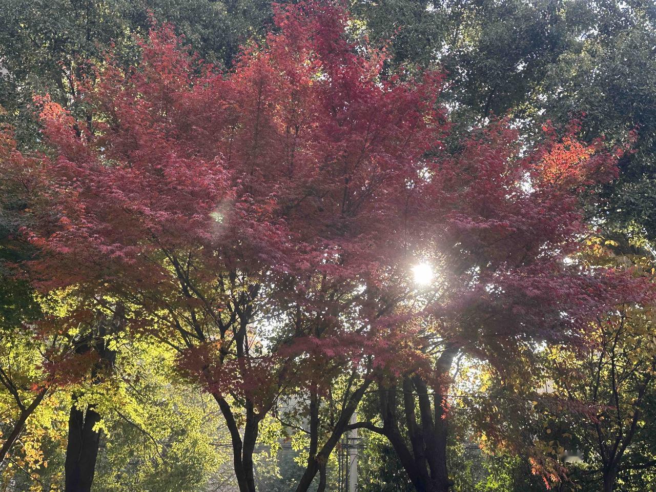 （征文已全部上岸，只互本章链接[作揖]7+1，可重复支持）万万没想到，一觉醒