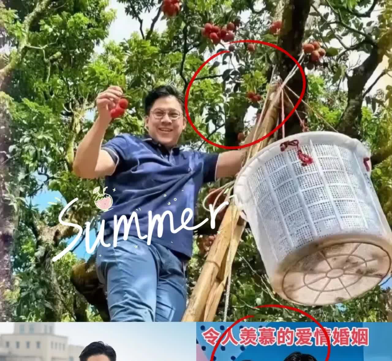 明星带货能力有多强？