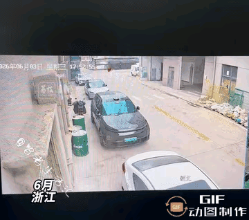 这个毛孩子一路狂奔跑到主人身边，见到主人之后，它再也坚持不住了，在地上挣扎了一会