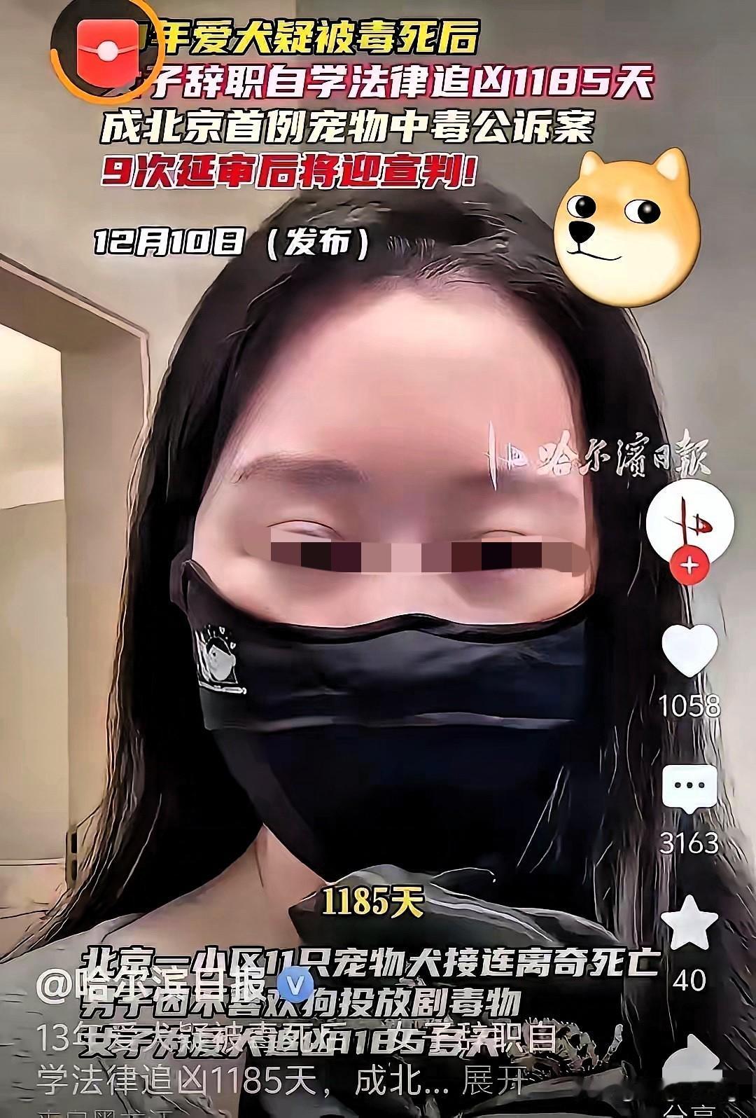 北京这案子越看越别扭——投毒的进去蹲了，遛狗不拴绳的倒好，就罚了点小钱，跟挠痒痒