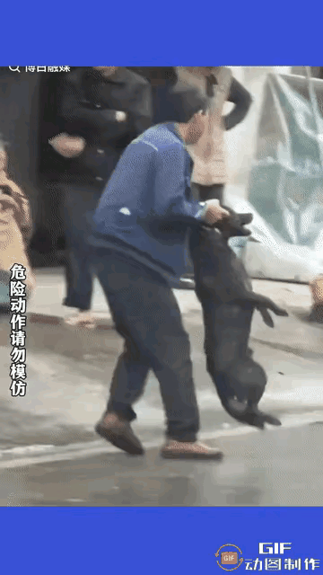 摔的好，遛狗大妈更可恨！大妈遛狗不牵绳，把一位男子给咬了，男子特别气愤，于是抓住