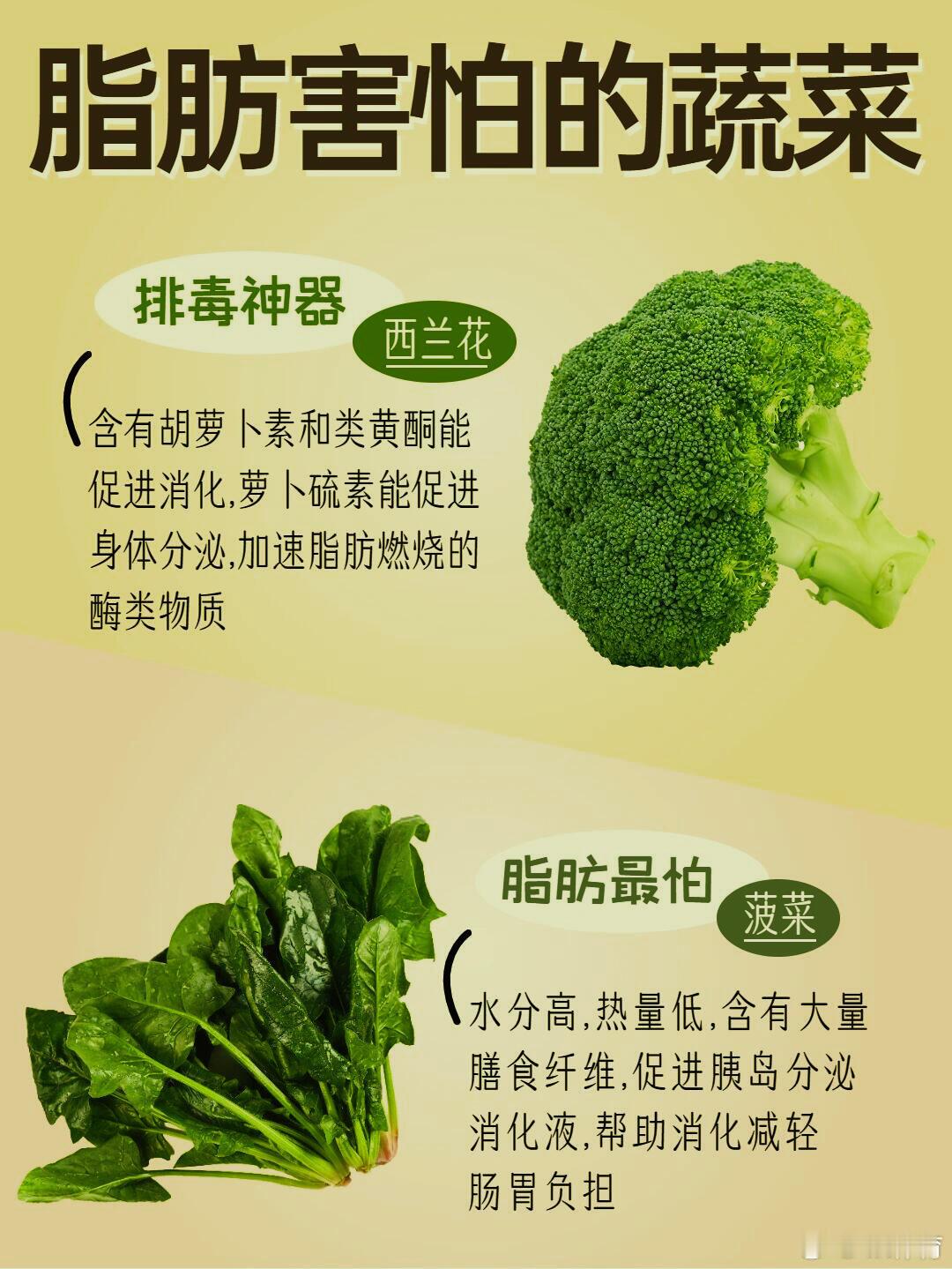 【脂肪最怕的10种蔬菜，吃对轻松瘦身！】减肥健身这些蔬菜堪称“天然减脂神器”，