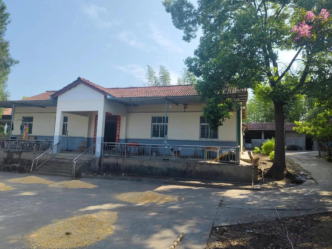 天还没亮透，我妈就被表姐的电话吵醒了。电话那头表姐声音带着哭腔，说跟大舅吵了一架