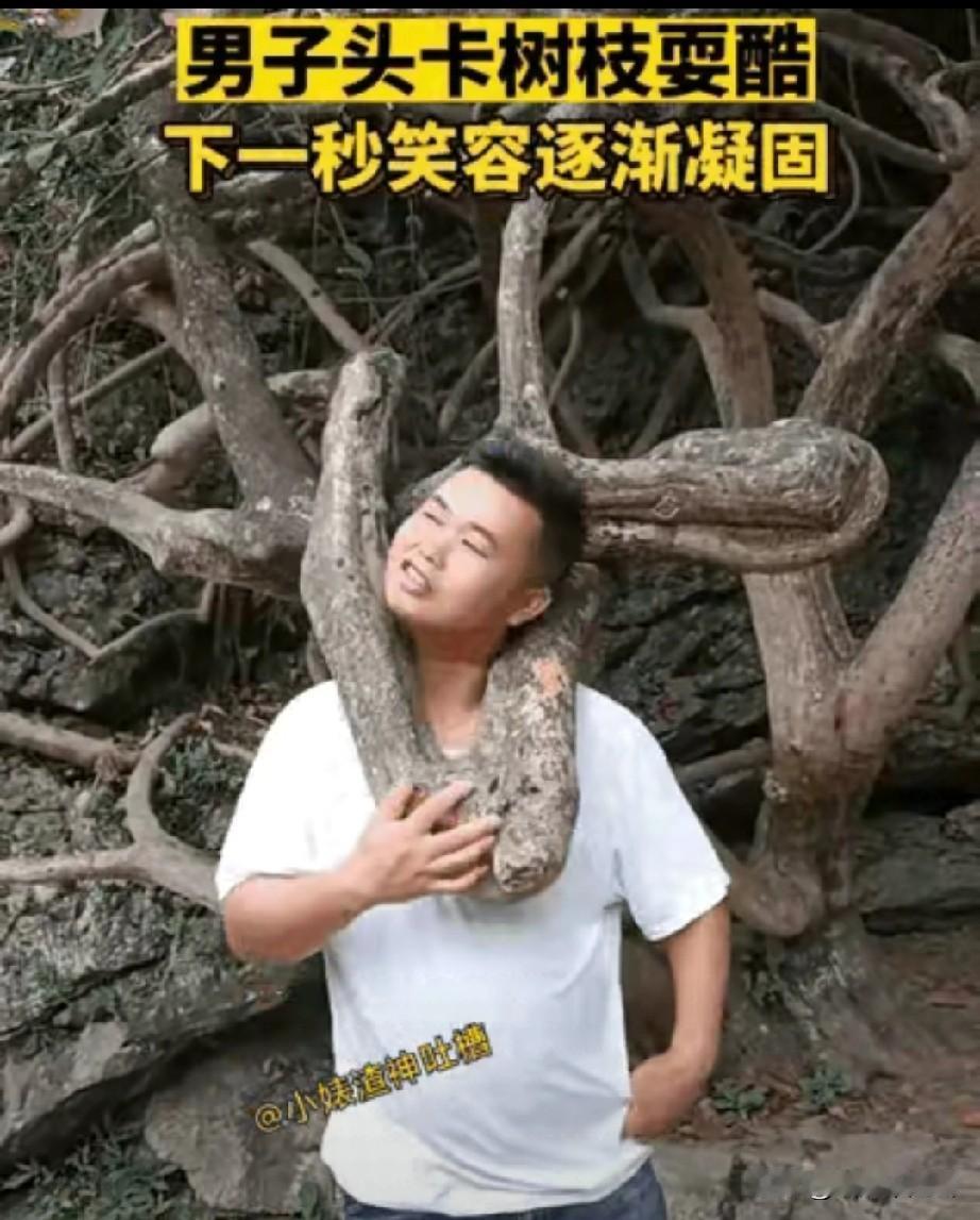 小伙子去景区游玩，瞧见一棵奇怪的三角树杈。他满心好奇，凑上去前去，左揪揪右看看。