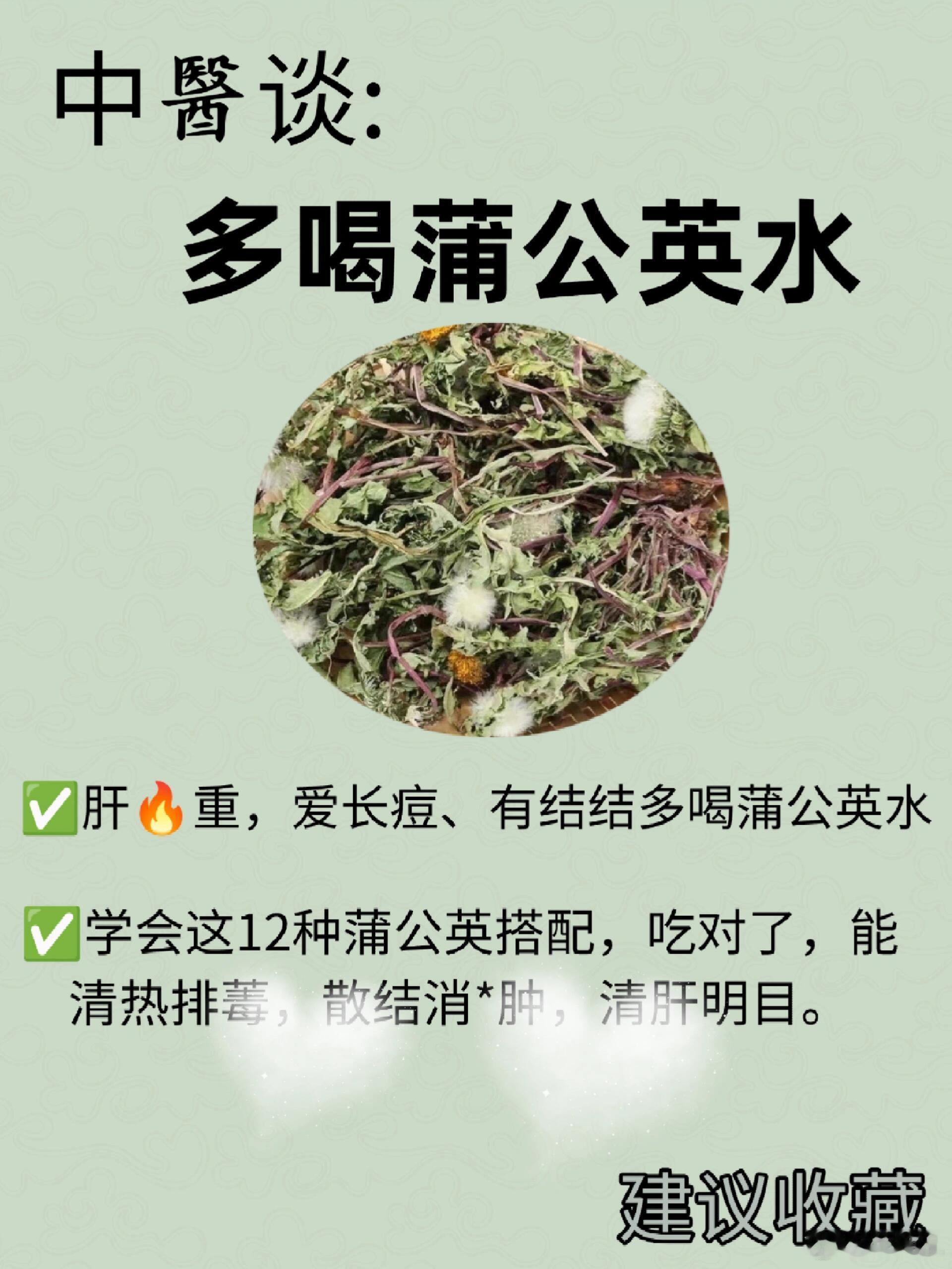 中草药科普植物科普健康生活蒲公英性寒，味甘，微苦，归肝/胃经，具有清热解du，