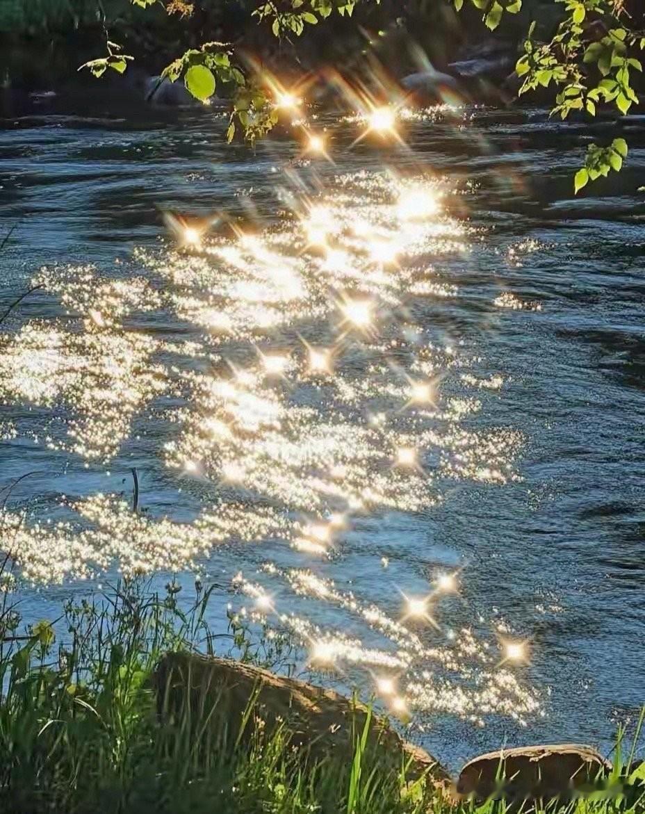 人的性格如果没那么直，能圆滑一些，混起来的概率会明显更高。像是那个很清高的同事