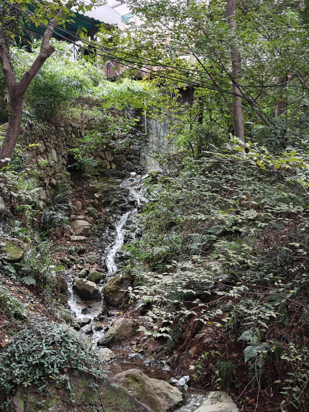 爬无锡惠山：在山林间邂逅城市全景与治愈小确幸无锡惠山的秋意里，藏着太多惊喜