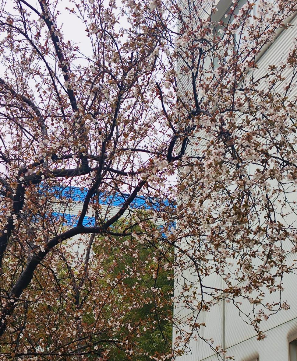 有灵性的男人惹不起。他历经沧桑仍心怀温柔。别看他心软善良，​​就好欺负。善良有尺