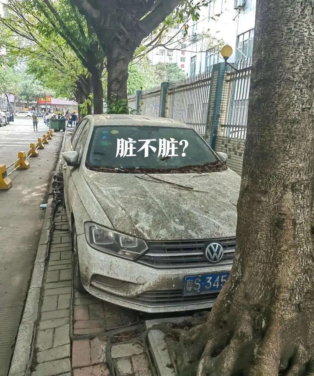 别看平时在2颗树之间，没有烈日暴晒，也不用停车费，等到凶猛一点的台风，那就麻