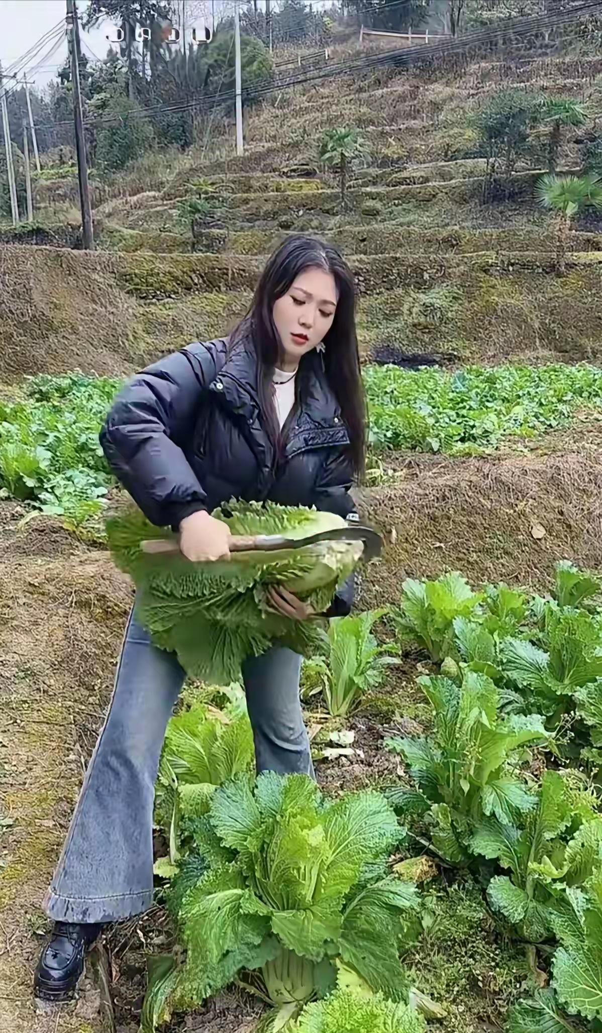 咱这山旮旯的生活，就是“自给自足+掐点赶集”。菜园子就在屋后，想吃青菜伸手就摘