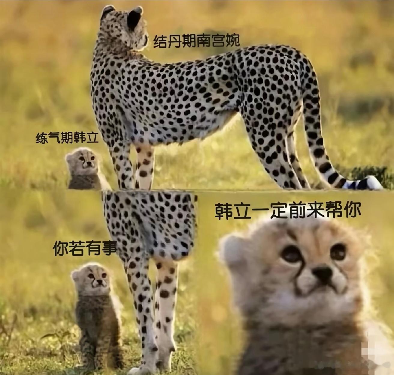 凡人修仙传复播的177、178集，我感觉挺好的，很精彩，然后他们告诉我说网上差评