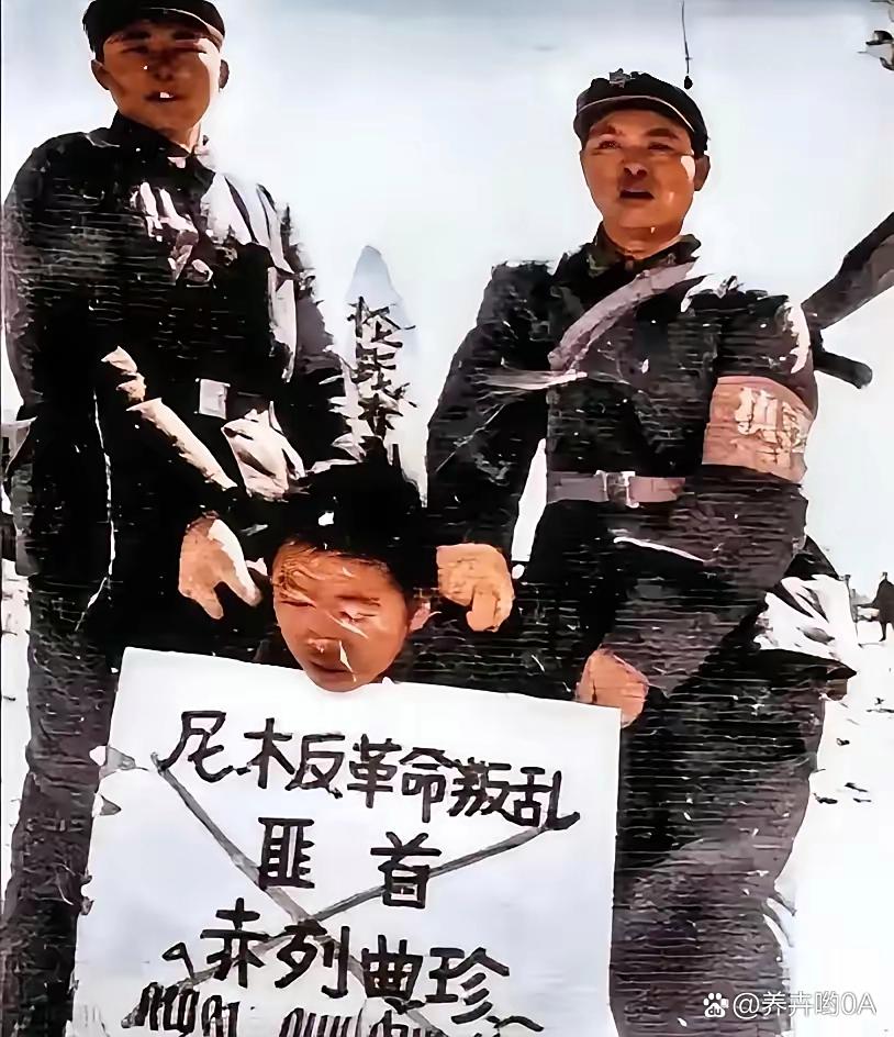 1970年深秋，西藏帕古乡的刑场上飘着细雪。当押解赤列曲珍的解放牌卡车停下时，这