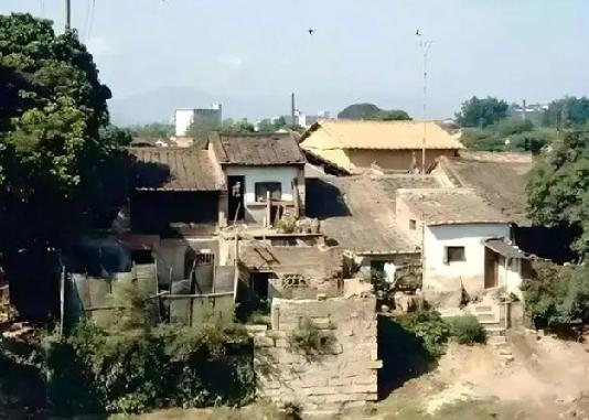 母亲是在我妹妹家去世的，病重那几天我赶了回去。母亲说：“存款归你妹妹，老院也归你