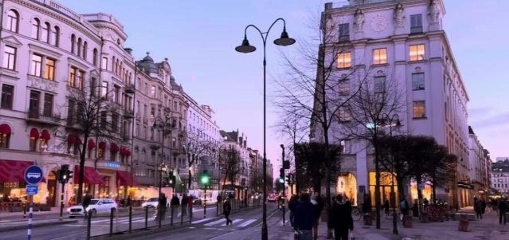 果不其然瑞典公共卫生局突然公布了冬季抑郁在移民群体中的相关统计，引发不小讨