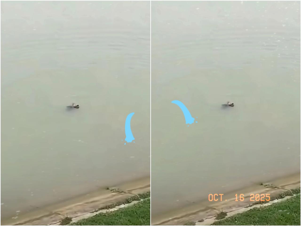 终于知道了真相，原来不是因为琐事，多方回应新郎跳桥的原因。29岁新郎婚礼跳