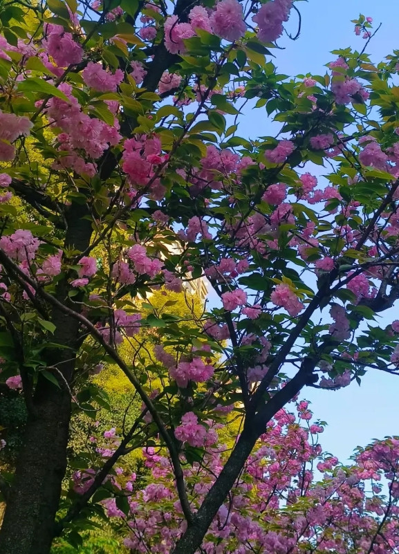 新婚一周查出怀孕，男方二话不说要求DNA鉴定！媳妇态度超淡定：