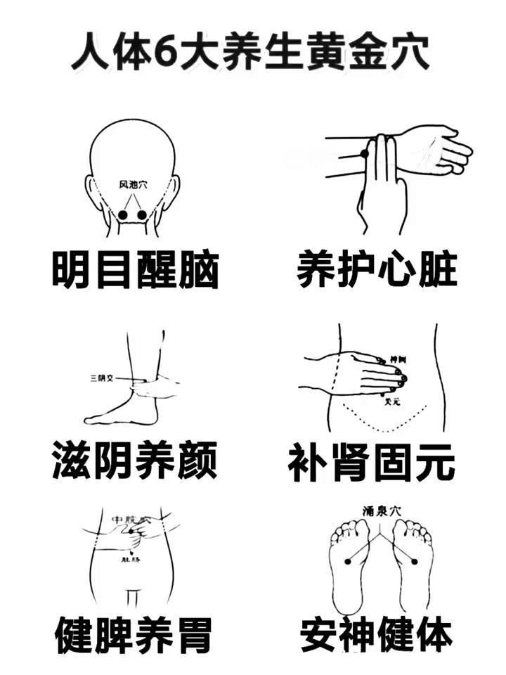 人体6大养生黄金穴。养护心脏，补肾固元，健脾养胃，安神健体。·位置：位于后颈