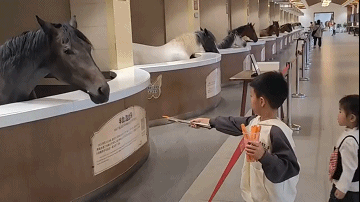 马：我是叫你从下面钻过来喂我！马：跟你说不到一块！