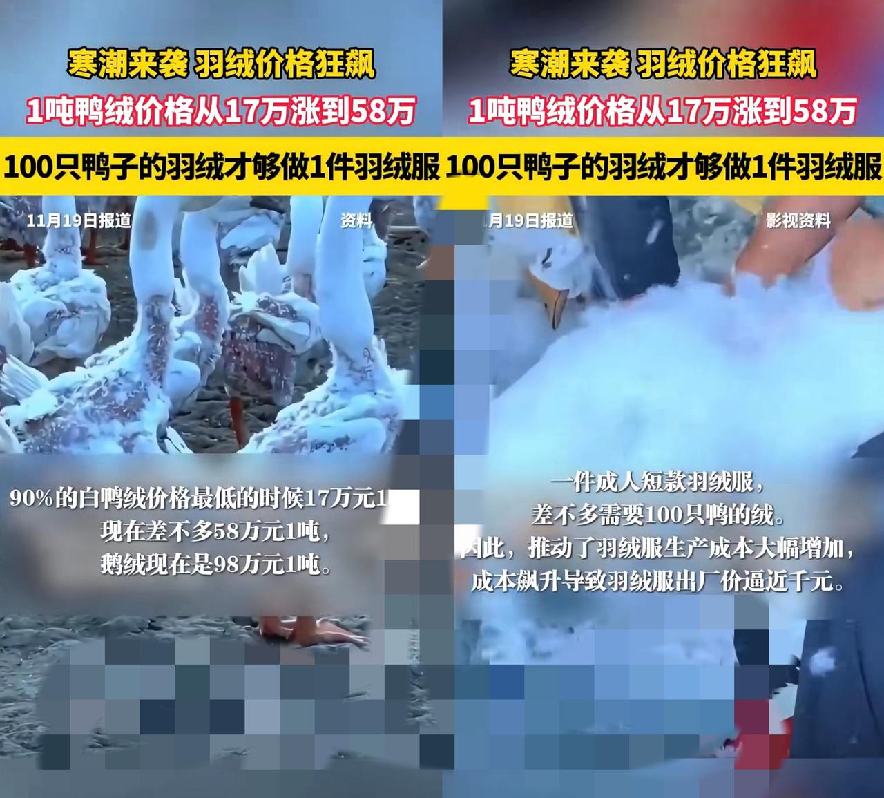 真心劝大家：穿羽绒服的赶紧脱！没买的千万别入手了！不是58