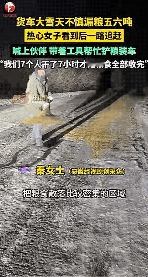 近日，黑龙江秦女士在晚上驾车回家的途中发现公路上全是遗落的稻谷。常识告诉她，这些